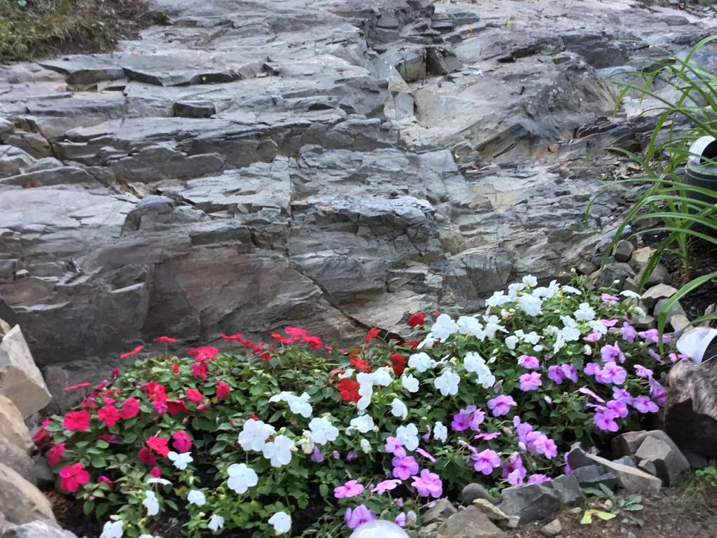 奥甘奎特黑野猪住宿加早餐旅馆 外观 照片