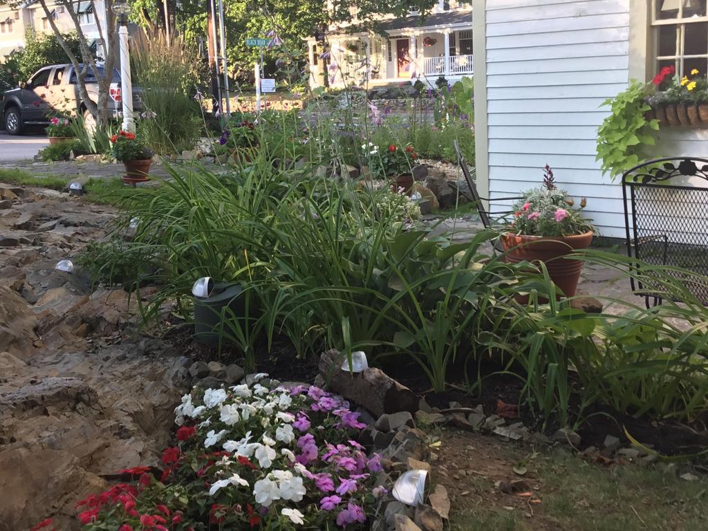 奥甘奎特黑野猪住宿加早餐旅馆 外观 照片